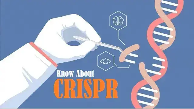 CRISPR简介